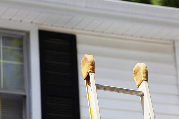 Best Aluminum Siding Installation  in USA